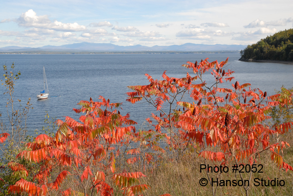Fall Sail Boat